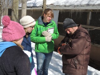 Central Michigan University student, Jaime (white hat) leads a group in animal behavior studies.  Her work was later published by the International Wildlife Rehabilitation Council.