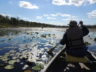 Joanne in Canoe on the Swamp