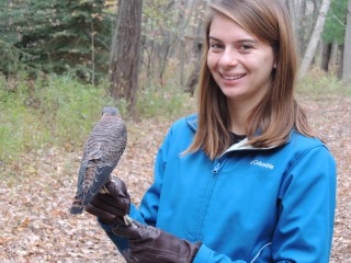 Volunteers from Central Michigan University get a chance to work directly with the birds.